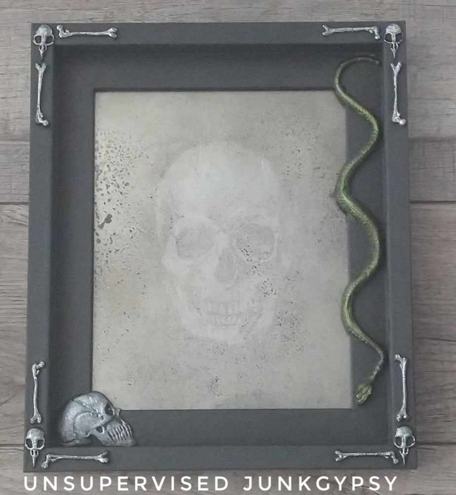 Skull with snake frame